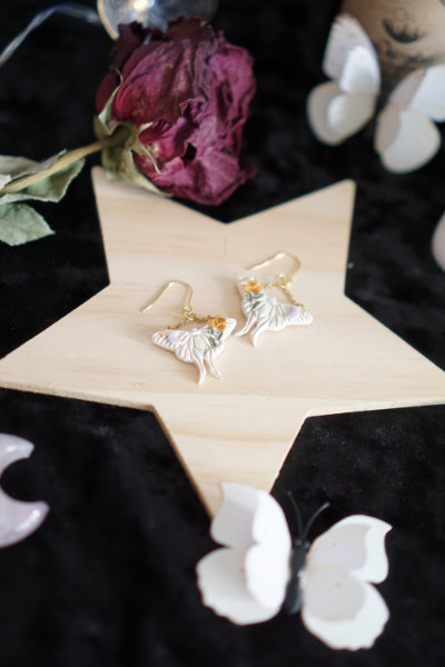 The Cute Beige Moth