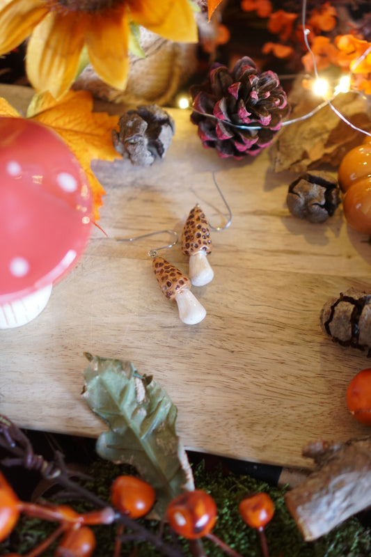 The Funghi Collection 4