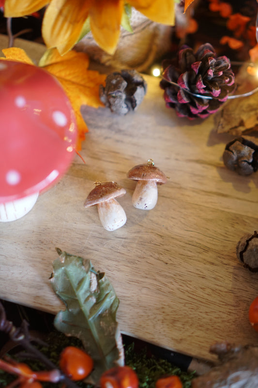 The Funghi Collection 9