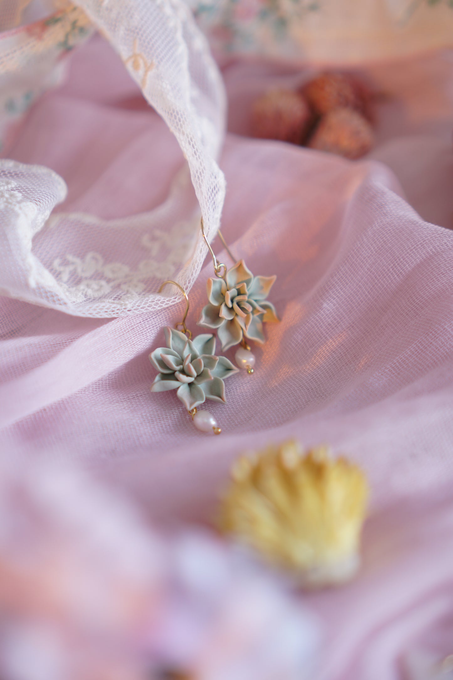 The Succulent