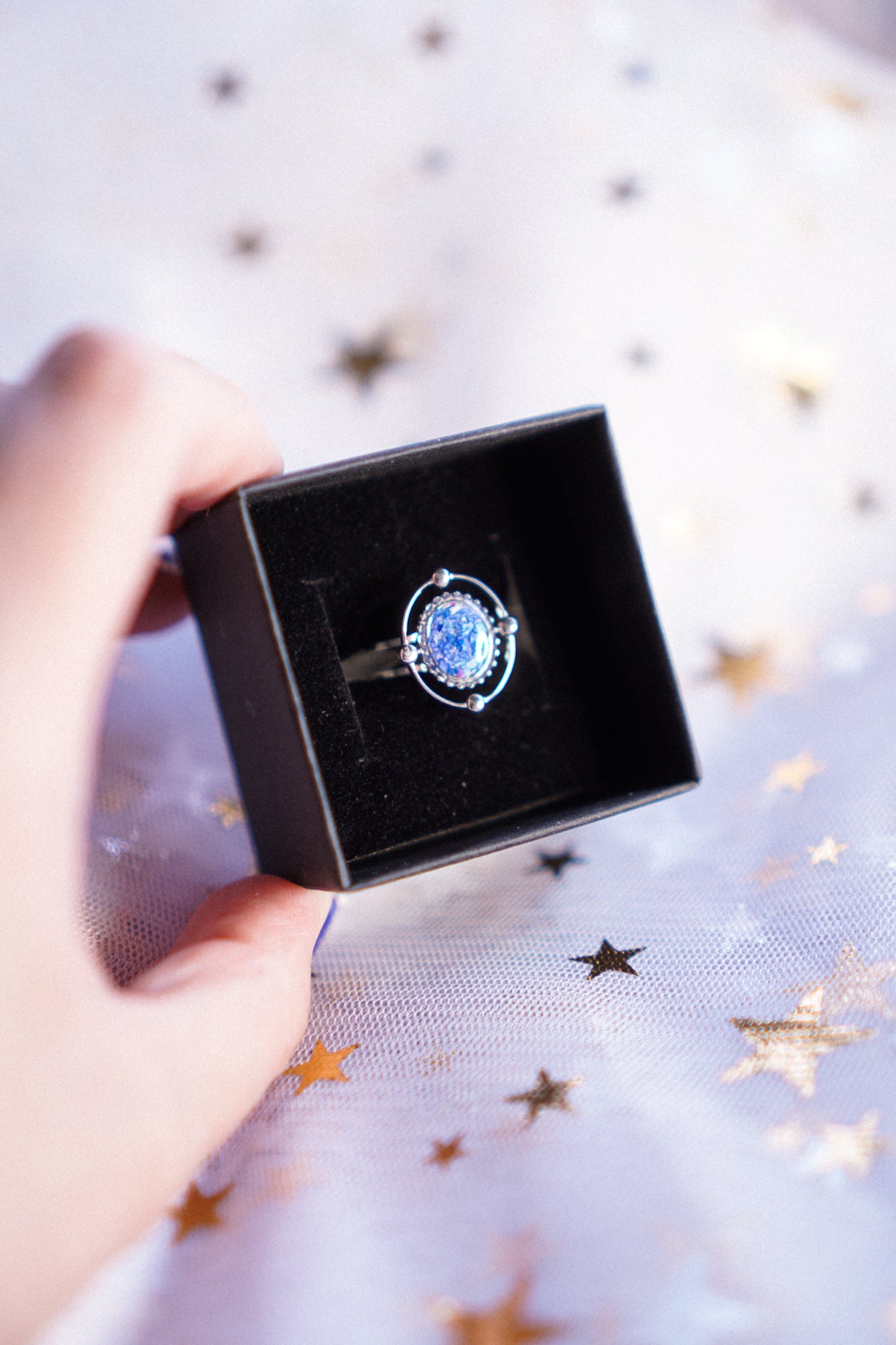 The Meteoroid Rings