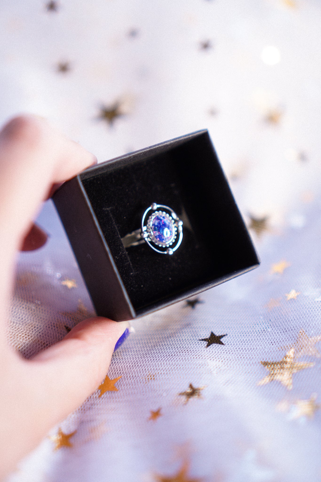 The Meteoroid Rings