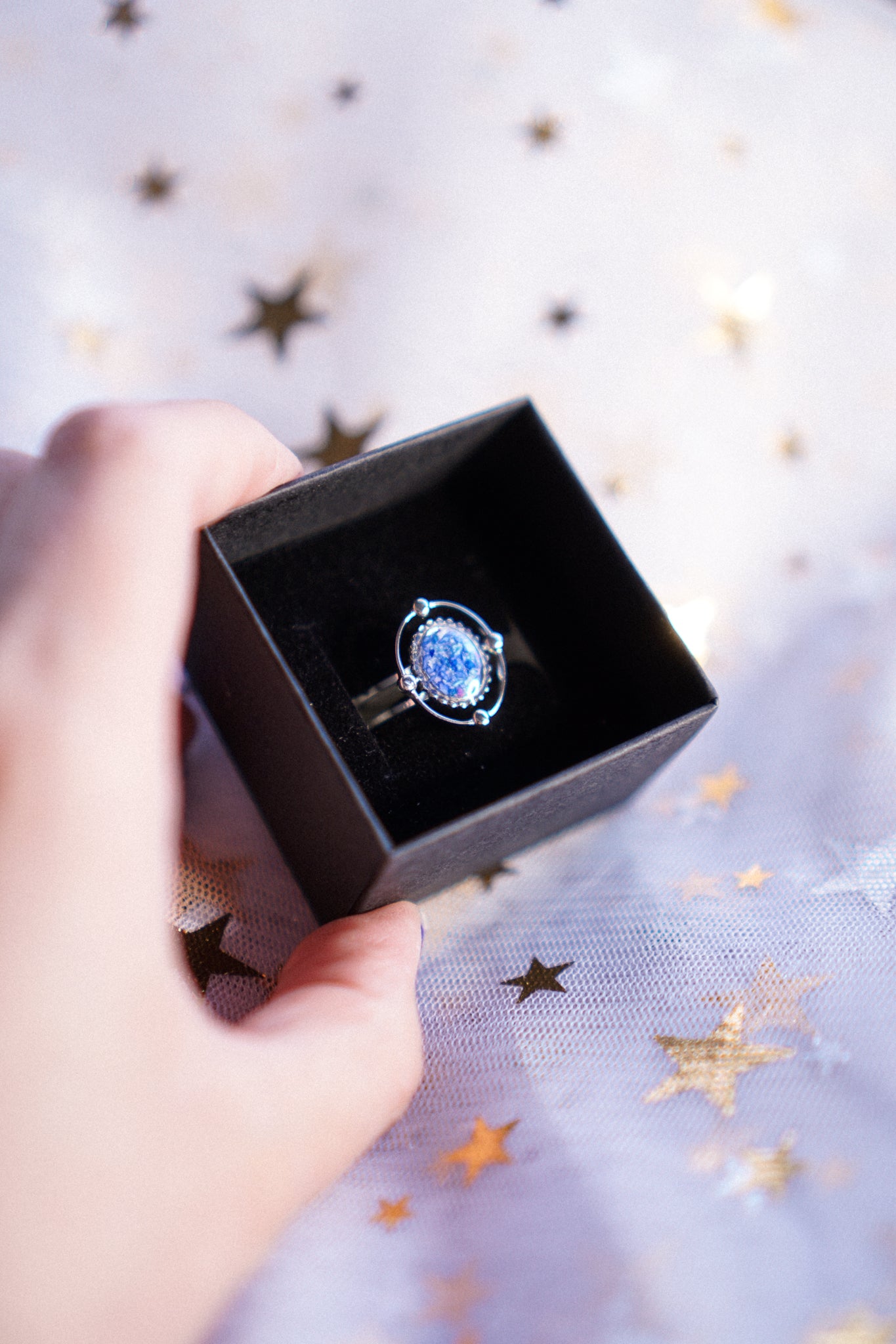 The Meteoroid Rings
