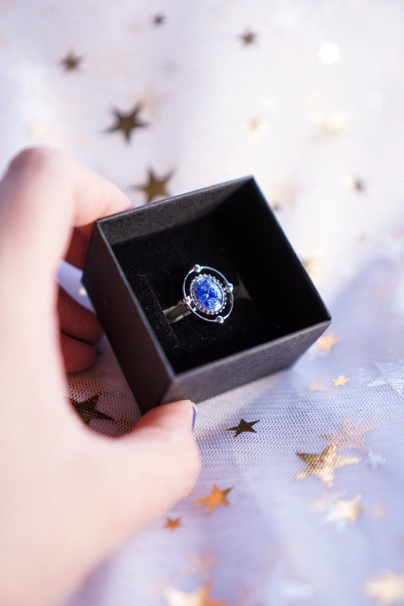 The Meteoroid Rings