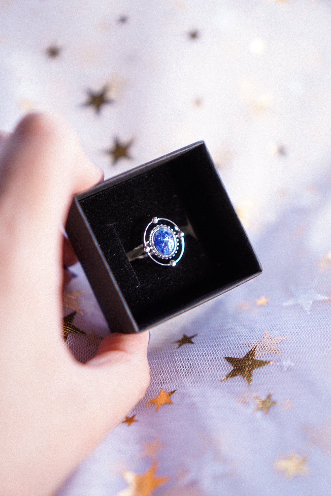 The Meteoroid Rings