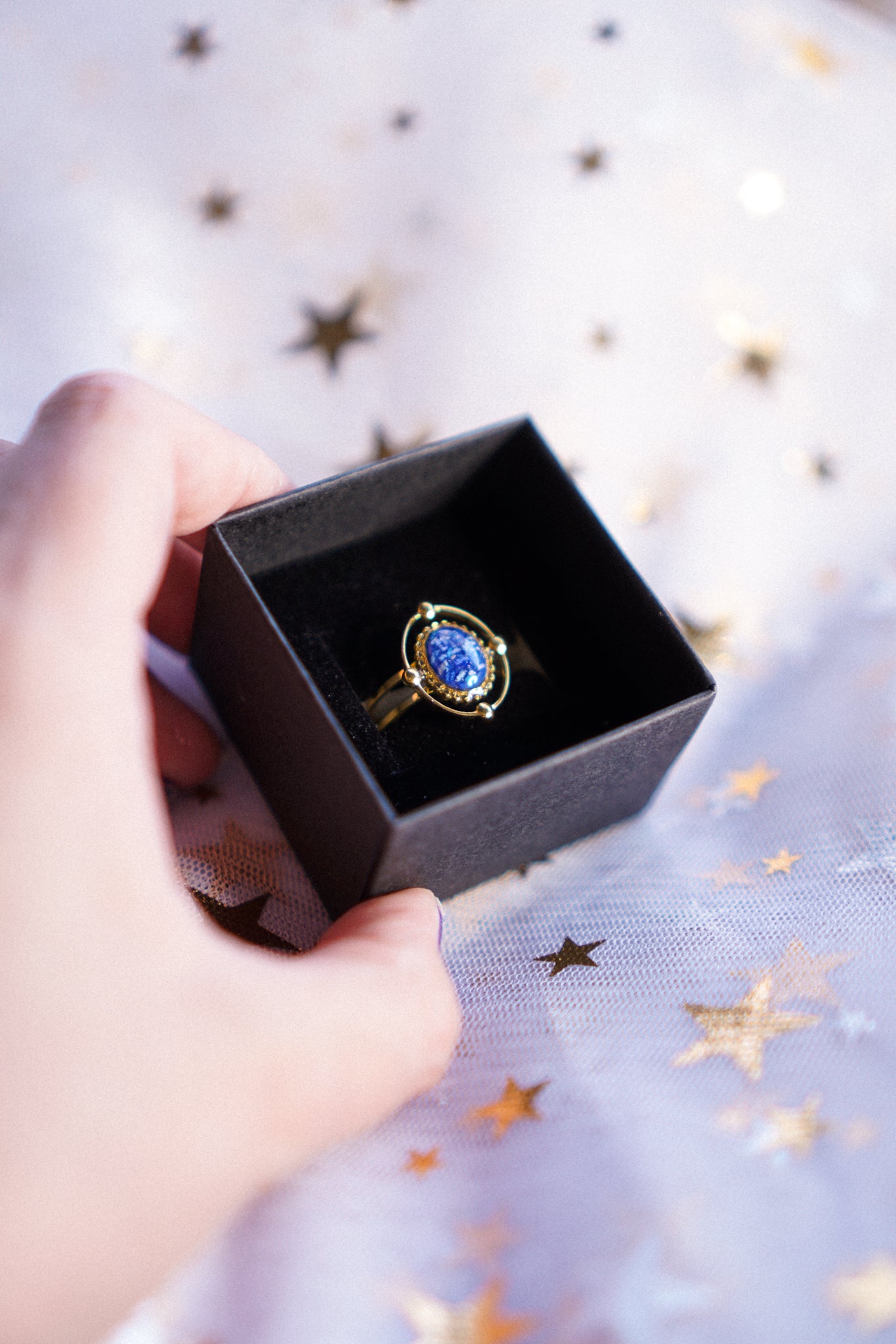 The Meteoroid Rings