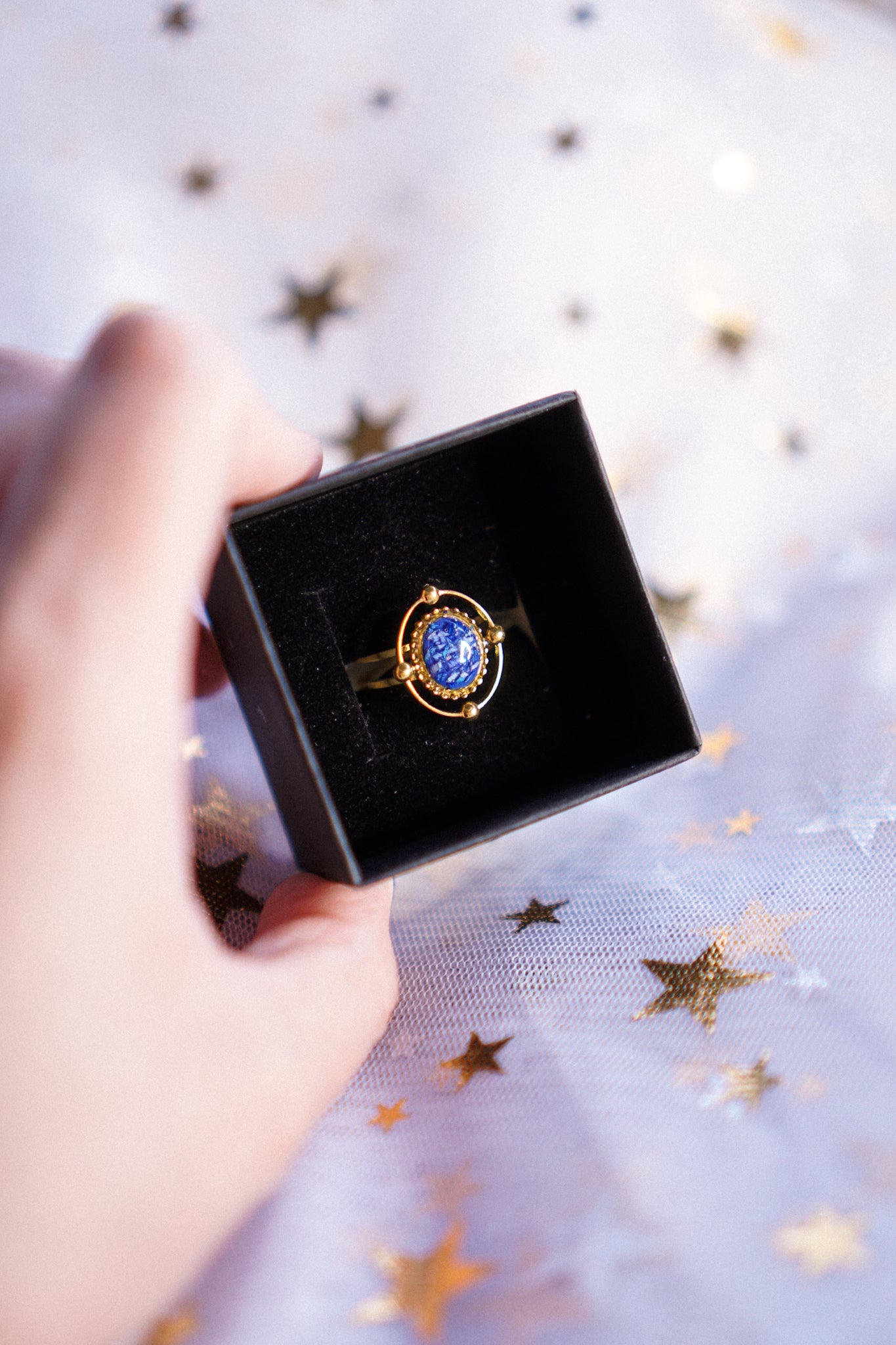 The Meteoroid Rings