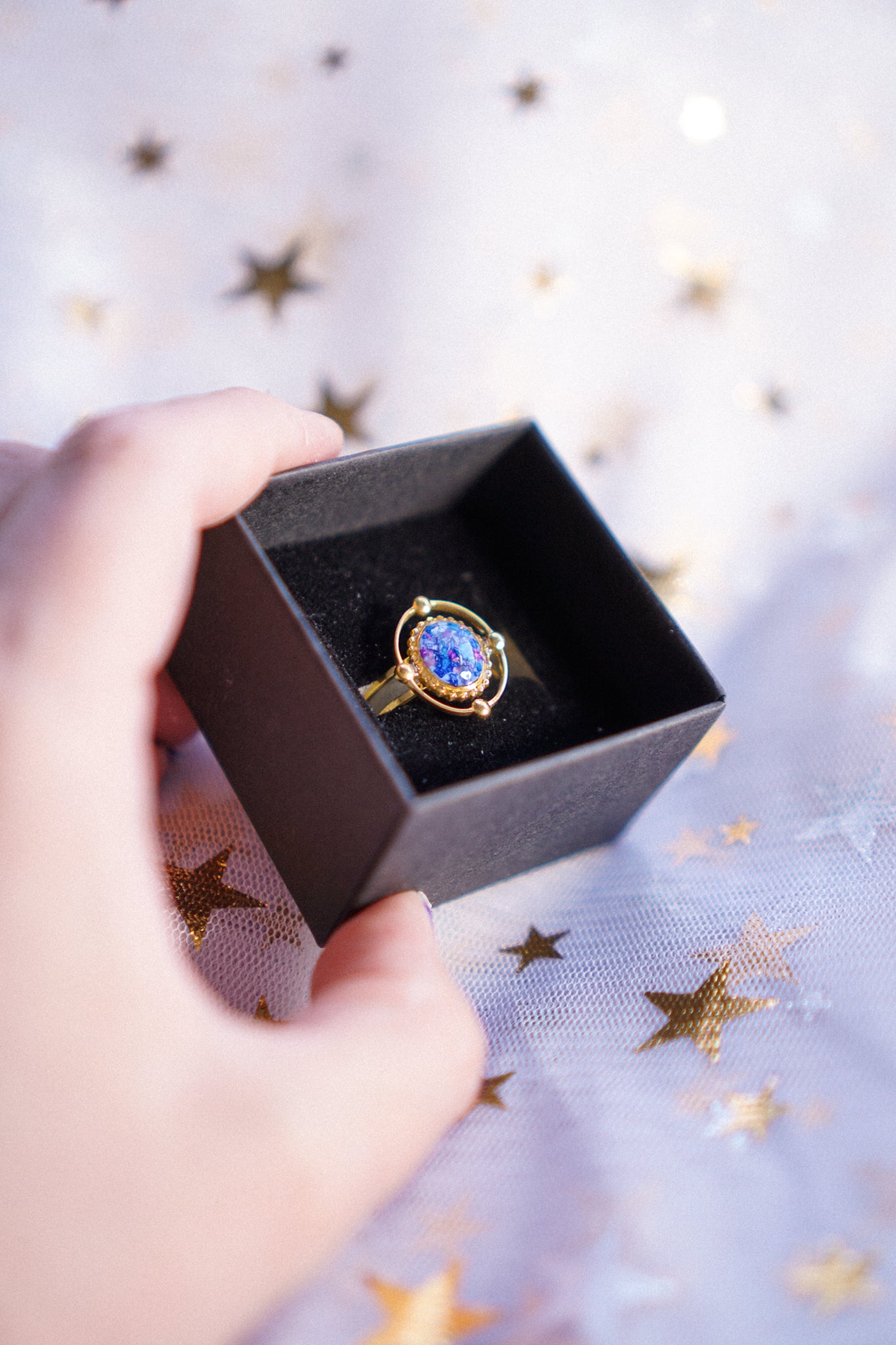 The Meteoroid Rings